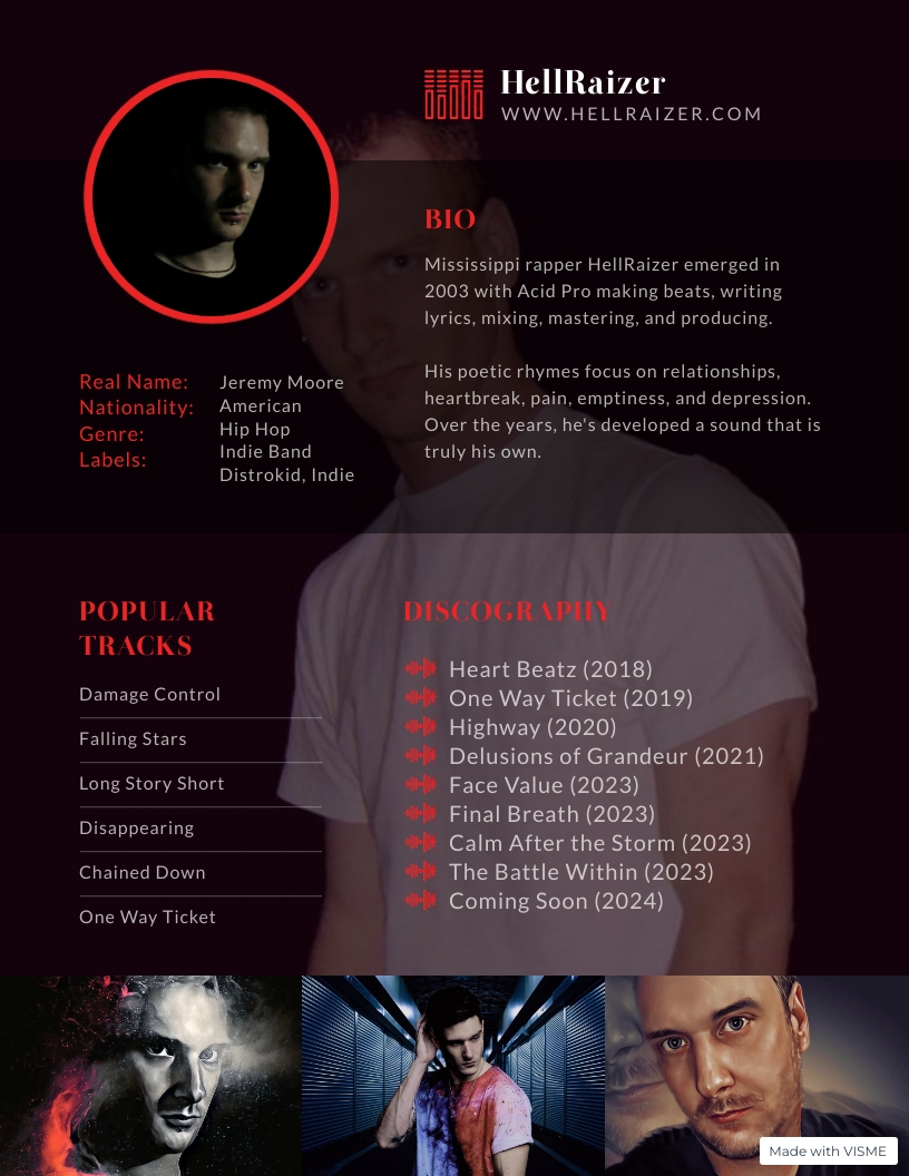 Mockup of a professional musician press kit page